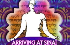 Arriving At Sinai