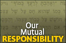 Our Mutual Responsibility